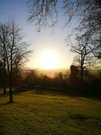 Scenic view of trees against sky during sunset