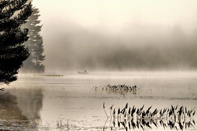 View of birds in water against sky