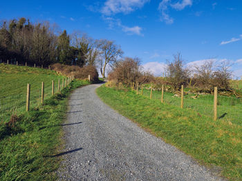 Road amidst trees on field against sky