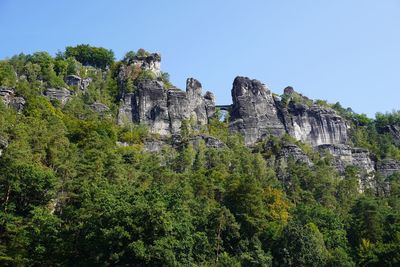 Low angle view of trees on rock against sky