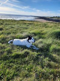 Chilling at the beach