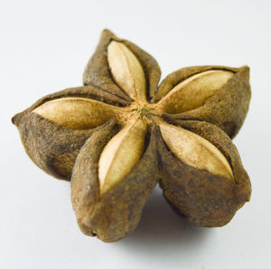 Close-up of bread against white background