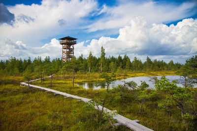 Panoramic shot of trees on land against sky