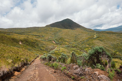 A hiking trail in the panoramic mountain landscapes of chogoria route, mount kenya national park