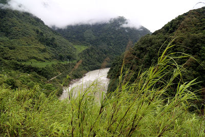 Scenic view of green landscape against sky
