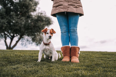 Low section of person with dog on field