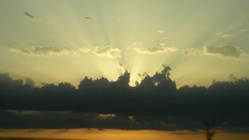 Silhouette trees against sky during sunset
