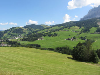 Alpine landscape with green pastures and firs against italian dolomites at summer