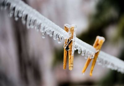 Frozen clothespins on clothesline