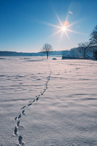 Scenic view of snow covered field against sky