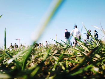 Low angle view of people standing on grassy land against clear sky