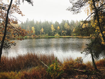 Scenic view of lake in forest against sky