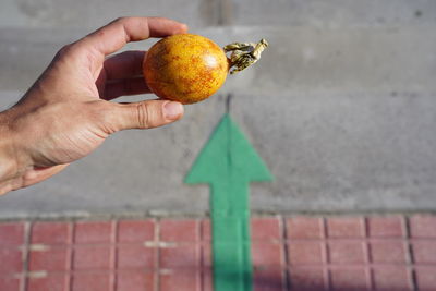 Person hand holding orange on wall