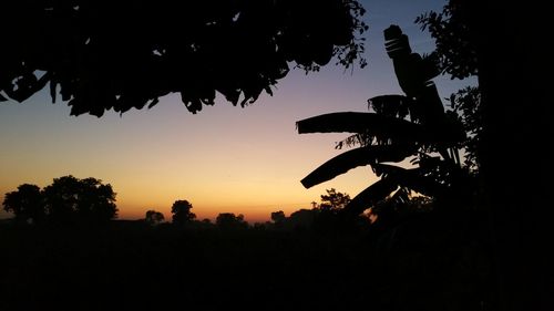 Silhouette trees against sky at sunset