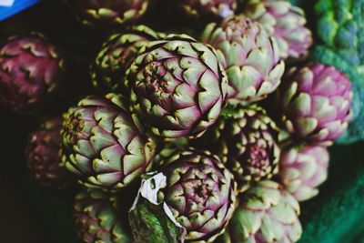 Close-up of artichokes in container