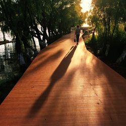 Rear view of people walking on road amidst trees