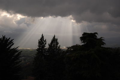 Low angle view of sunlight streaming through clouds over trees