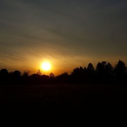 Silhouette trees on field against sky during sunset