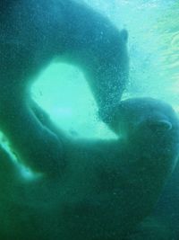 Woman swimming in sea