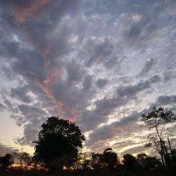 Low angle view of silhouette trees against dramatic sky