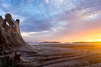 Scenic view of landscape at sunset