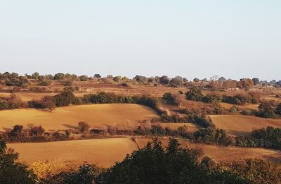 Scenic view of landscape against clear sky