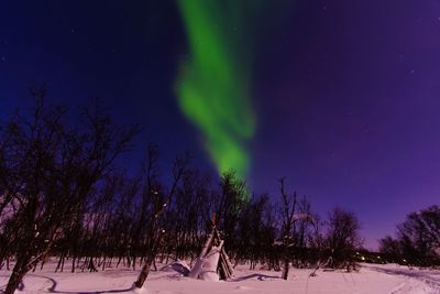 Trees on snow covered field against sky at night