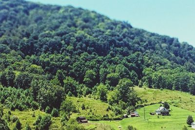 Scenic view of landscape