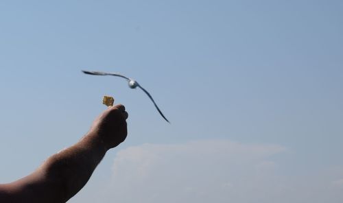 Close-up of hand holding lizard against sky