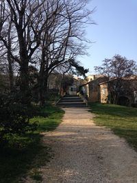 Narrow pathway along trees