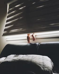 Toddler behind blinds at home