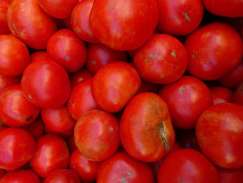 Full frame shot of tomatoes at market stall