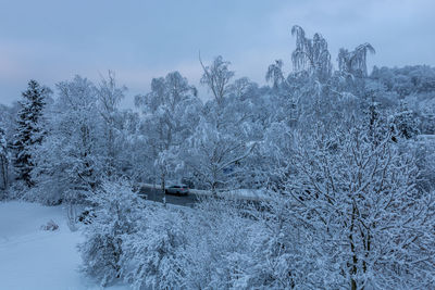 Snow covered land and trees against sky