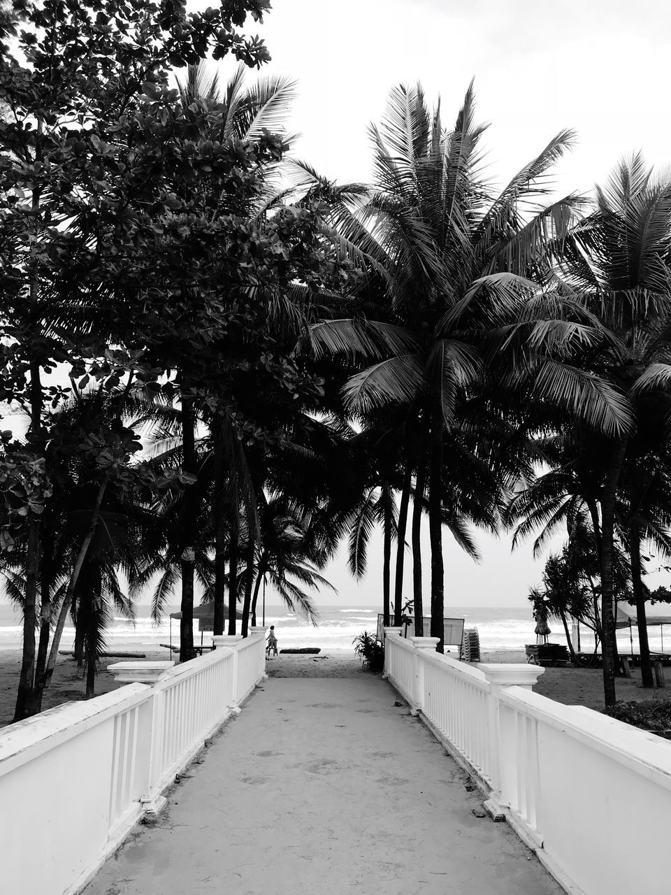 ROAD AMIDST PALM TREES AGAINST SKY