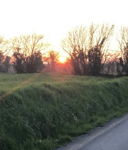 Scenic view of field against sky during sunset