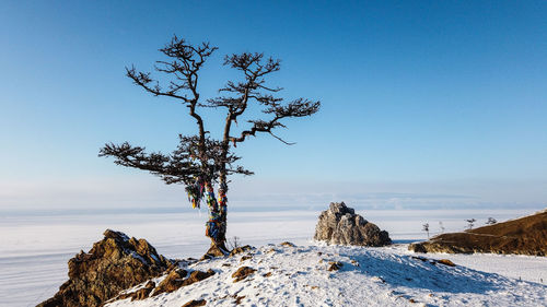 Scenic view of sea against clear blue sky during winter