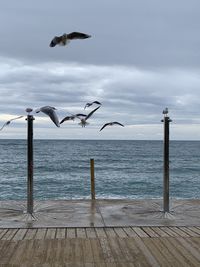 Seagulls flying over sea against sky