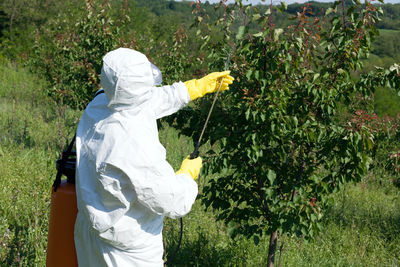 Rear view of person spraying plant