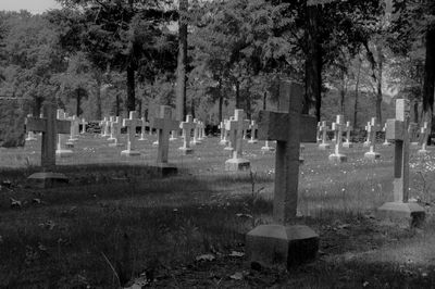 Tombstones in cemetery