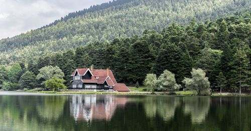 Scenic view of lake by trees and house in forest