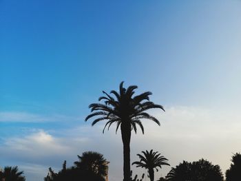 Low angle view of silhouette palm trees against blue sky