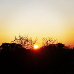 Silhouette trees against sky during sunset