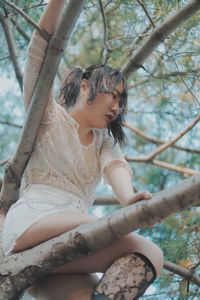 Low angle view of young woman sitting on tree trunk