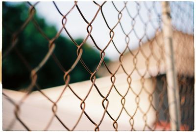 Close-up of chainlink fence