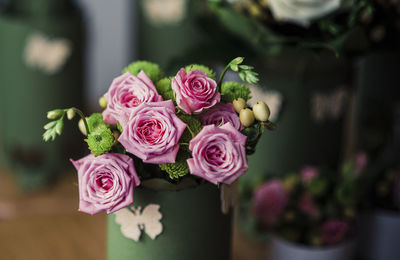 Close-up of pink roses