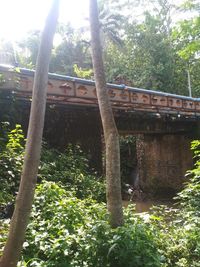 Low angle view of bridge amidst trees in forest