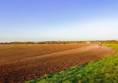 Scenic view of agricultural field against clear sky