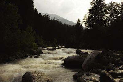 Scenic view of rocks in forest against sky