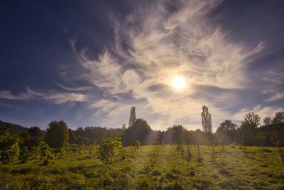 Scenic view of field against sky during sunset