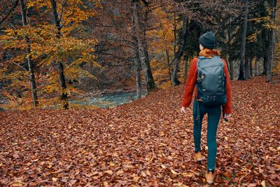 Rear view of woman with autumn leaves in forest